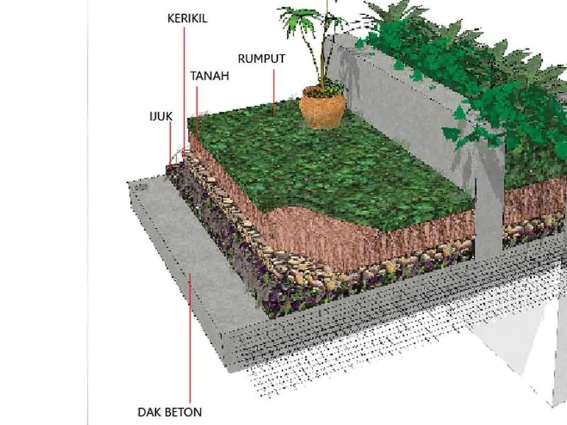 Membuat Roof Garden? Ini Caranya!
