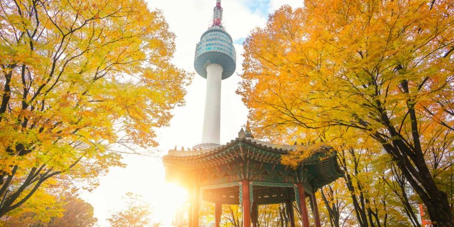 Kota Seoul Resmi Diajukan sebagai Tuan Rumah pada Olimpiade 2032