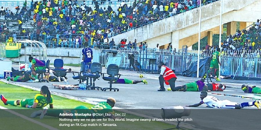 VIDEO - Serangan Lebah Kacaukan Pertandingan Sepak Bola di Tanzania