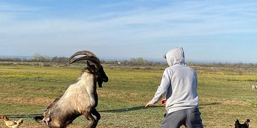 Tidak Ada Lawan, Petarung UFC Asal Rusia Putuskan Duel Dengan Monster