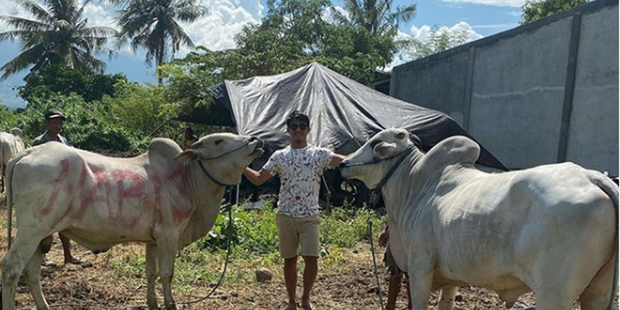 Dua Pemain Persija Jakarta Ini Kurban Sapi di Hari Raya Idul Adha