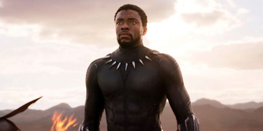 Aktor Black Panther Chadwick Boseman Meninggal Dunia, Sejumlah Bintang UFC Berduka