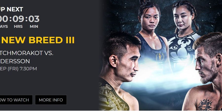 Malam Ini, ONE Championship: A New Breed III, Ada 6 Juara Dunia dan Si Cantik Rika Ishige