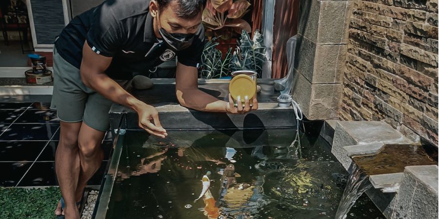 Bukan Ikan Cupang, Kiper PSS Sleman Isi Kesibukan dengan Pelihara Ikan Ini