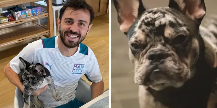 Bernardo Silva Beri Nama Anjingnya dengan Nama Rekan Setimnya di Manchester City
