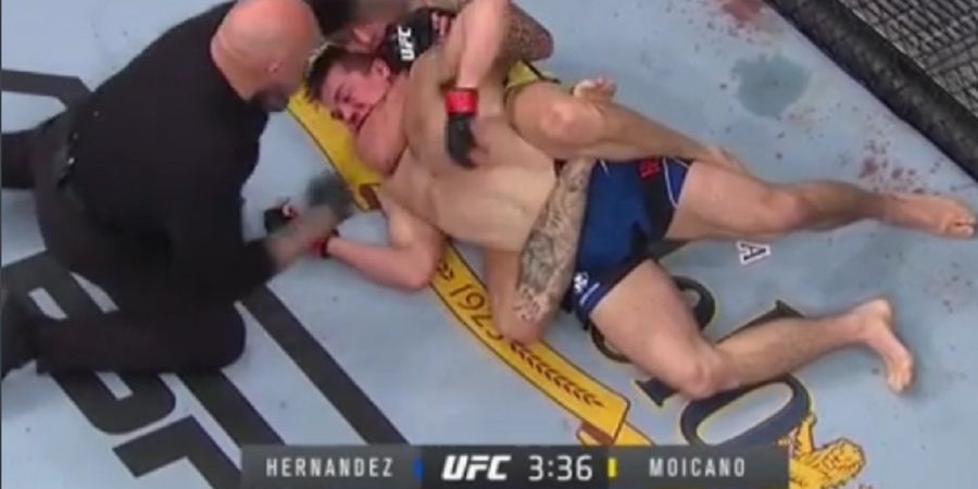 Hasil UFC 271 - Kuncian Mematikan Jinakkan Si Kera Besar Hernandez