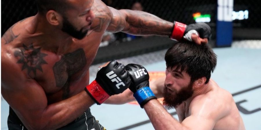 Hasil UFC Vegas 50 - Jagoan Dagestan Cuma 1 Kali Takedown, Magomed Ankalaev Kalahkan Thiago Santos