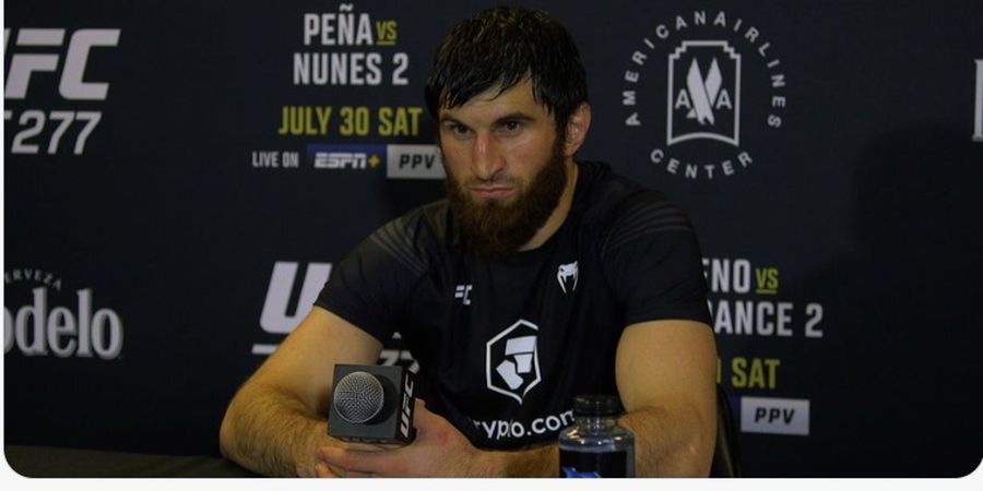 Magomed Ankalaev Murka, Calon Mangsanya Mau Direbut Jamahal Hill