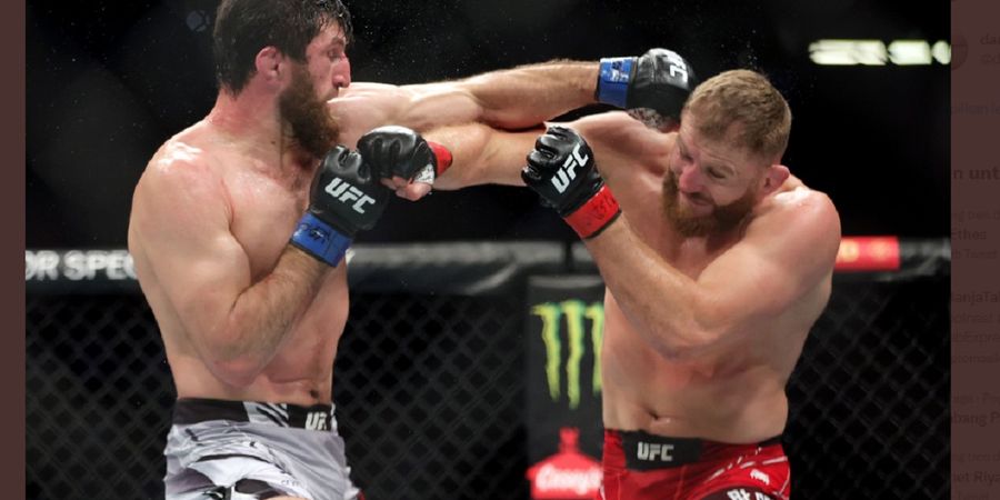 UFC 282 - Tak Dapat Sabuk Juara, Magomed Ankalaev Merasa Dicurangi