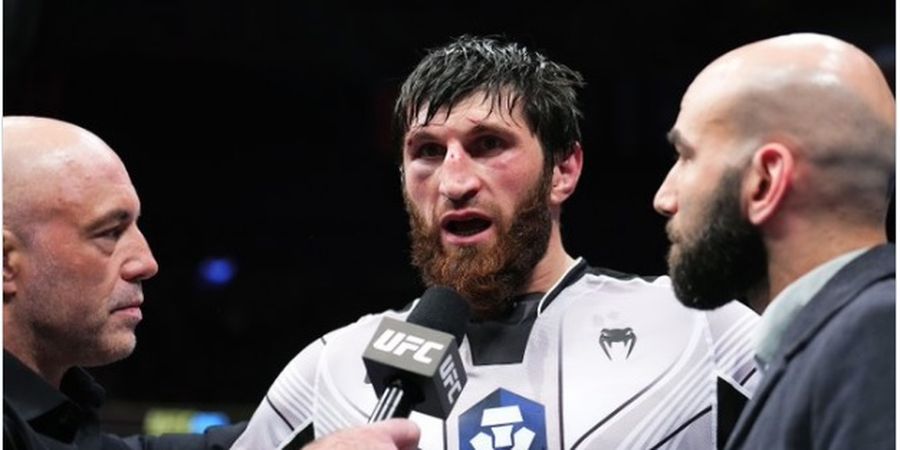 Argumen Kuat Magomed Ankalaev untuk Tagih Pertandingan Gelar UFC, Janji Bikin Alex Pereira Tertidur Lagi