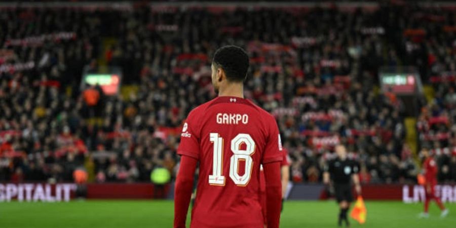 Liverpool Vs Real Madrid - Cody Gakpo Tuntut The Reds Cetak Banyak Gol ke Gawang Los Blancos