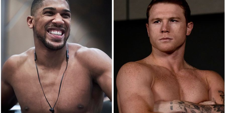 Mantan Pelatih Mike Tyson Blak-blakan Sebut Canelo Alvarez dan Anthony Joshua Overrated