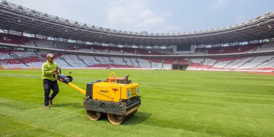 Rumput Sudah Tertanam Rapih, SUGBK Siap Gelar Laga Timnas Indonesia Lawan Raksasa Oseania