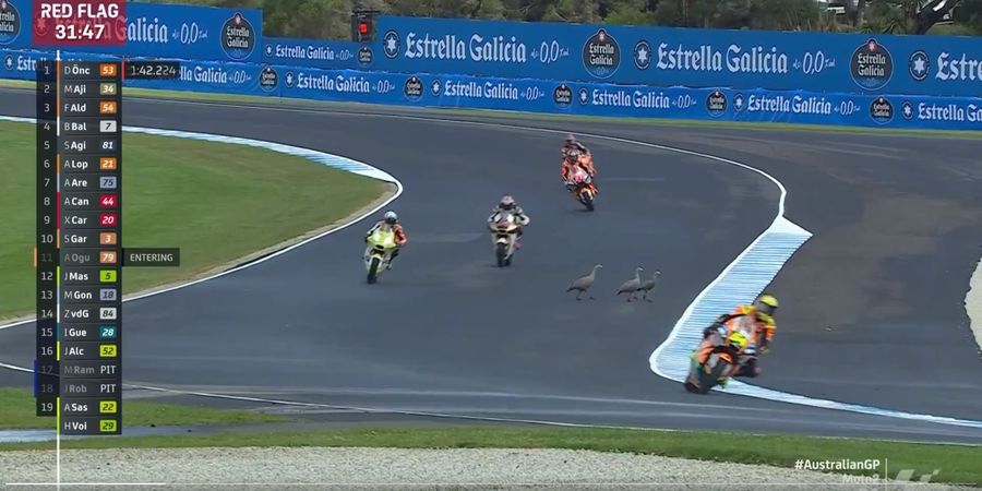 Moto2 Australia 2024 - Turun Setelah Posisi Ke-2 di FP1, Mario Aji Terpaut Tipis untuk Tembus Kualifikasi 2