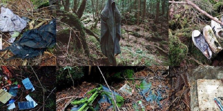 Kisah Hutan Bunuh Diri di Jepang yang Konon Disebut Sebagai Tempat Mati Paling Sempurna