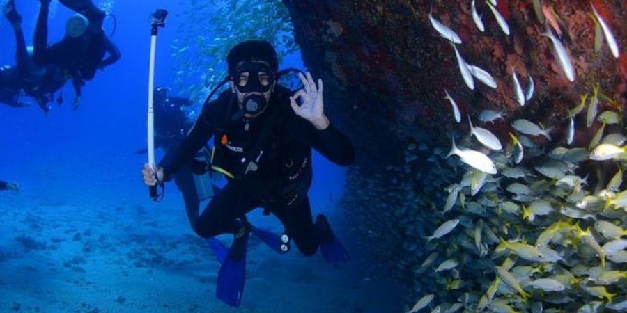 Mau Menyelam Sambil Melihat Keindahan Bawah Laut? Yuk, Ikut Diving!