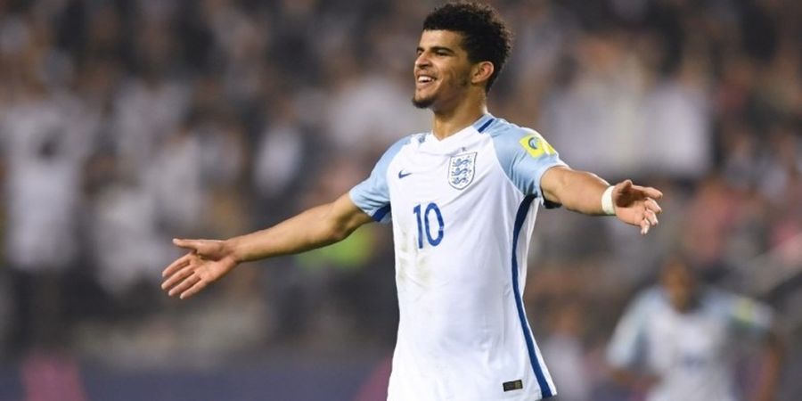 Dominic Solanke, Potensi Penerus Sturridge di Liverpool