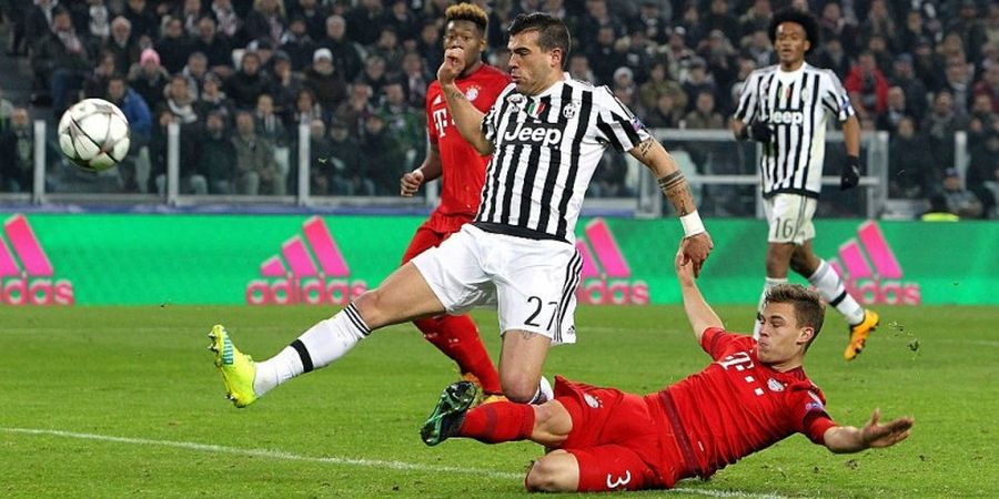 Dua Penggemar Stefano Sturaro