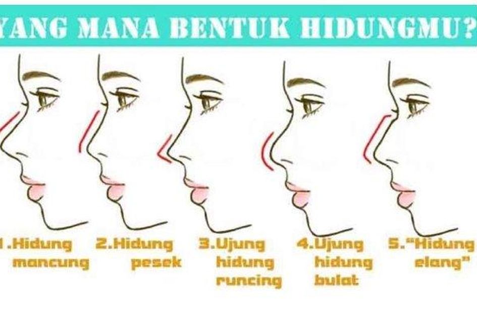 Cara Mudah Tebak Karakter Orang Dari Bentuk Hidung Kamu Yang Mana