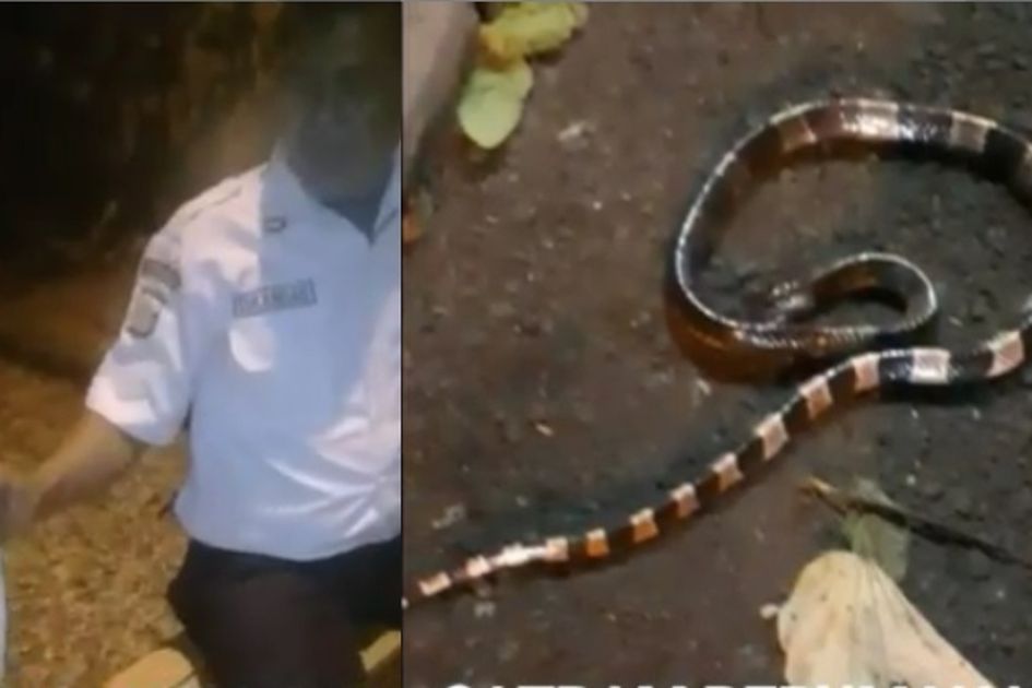 Arti Mimpi Ular Masuk Kamar Mandi Archives - Menurut Para Ahli