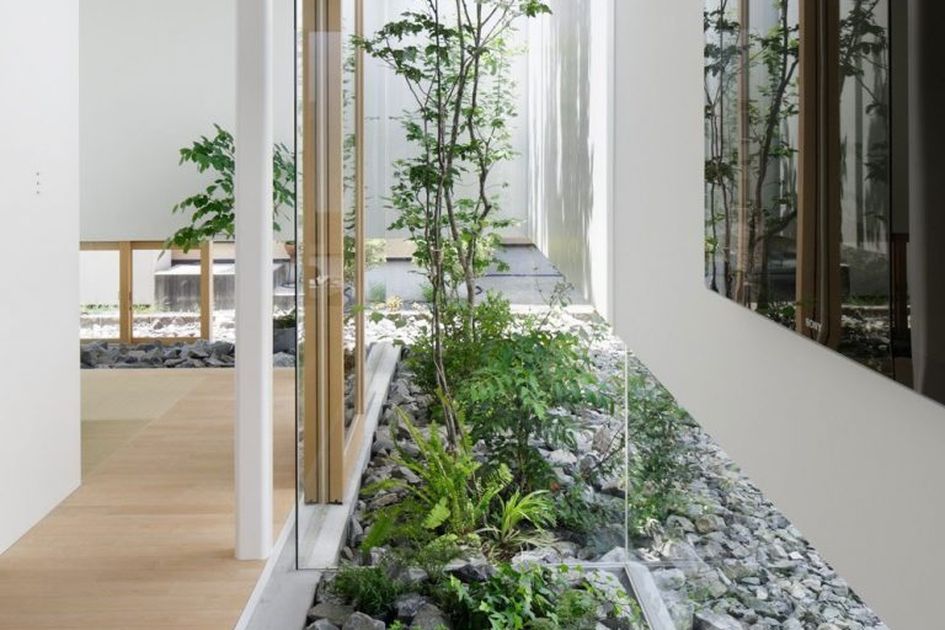 Banyak yang Belum Tahu, Begini Tips Menghadirkan Taman Kering pada