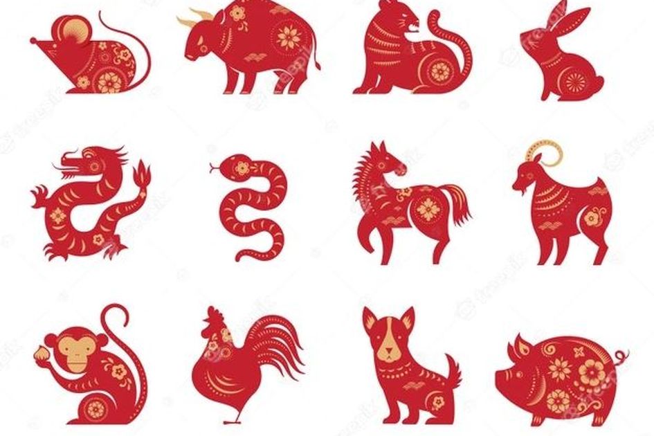 ᗈᗈ Ramalan shio naga emas hari ini  ฌ 