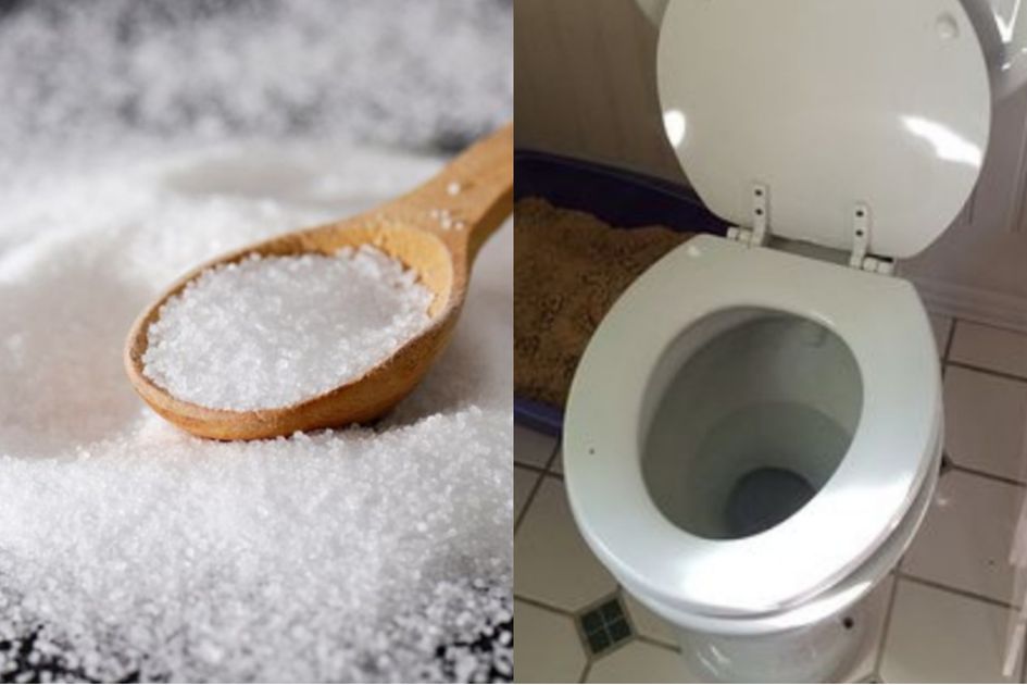 Cuma Taburkan Garam Ke Lubang Wc Lalu Diamkan Semalaman, Seorang Art Kaget  Bukan Kepalang Lihat Perubahan Ini Keesokan Harinya!