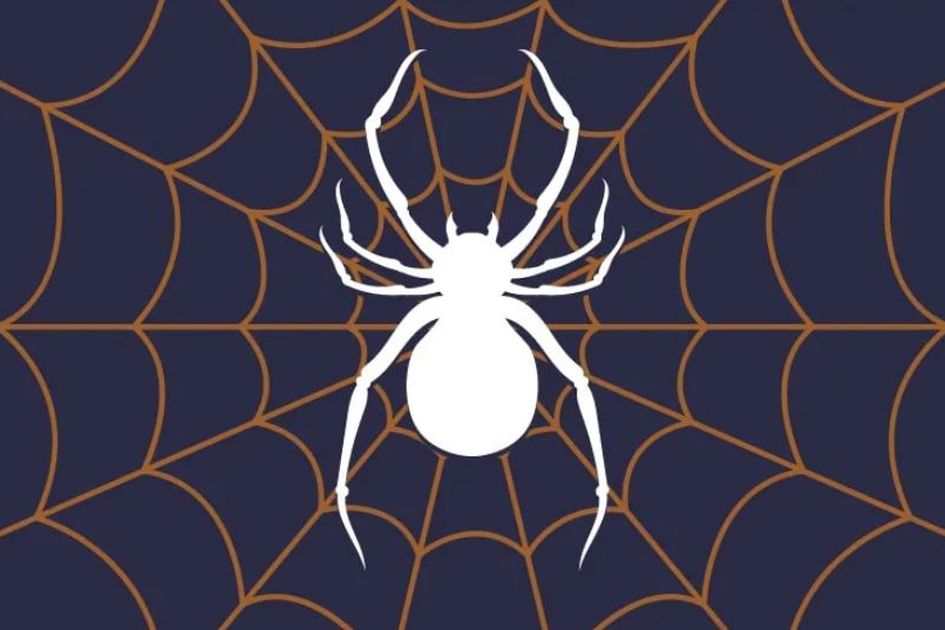 Jangan Takut! Arti Mimpi Membunuh Seekor Laba-Laba Ternyata Punya Makna  Positif Ini