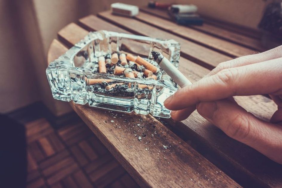 Bau Rokok Bau Asap Rokok Meresahkan, Mertua Bisa Kegirangan Pas Tau Tanaman Hias ...