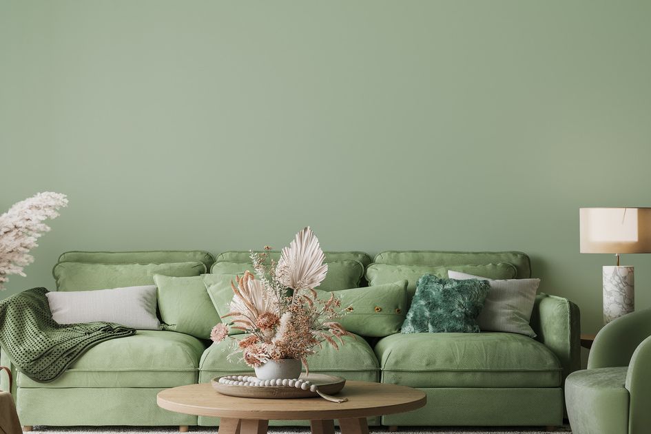Ingin Membawa Hijau Sage ke Rumah ? Simak Tips dan Trik Berikut!