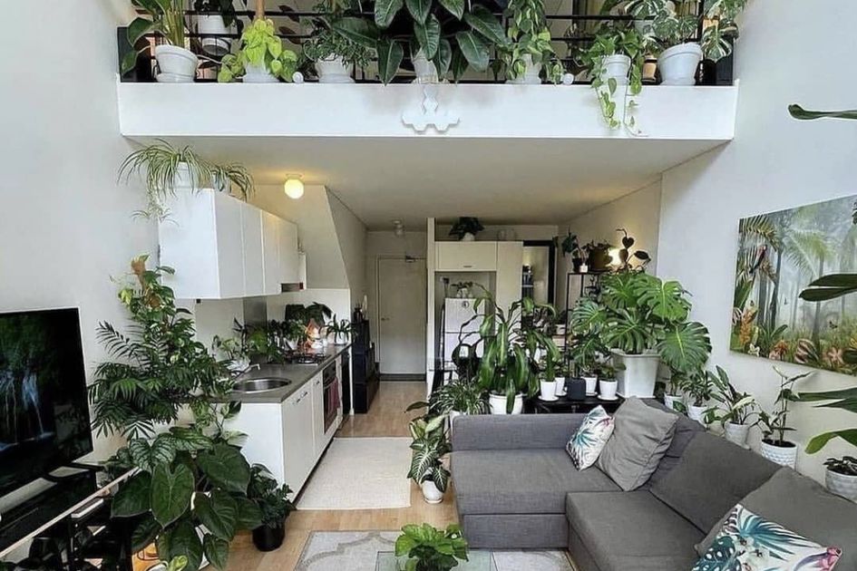 Desain Taman Indoor Minimalis Disegarkan, Foto Interior Rumah Dapat