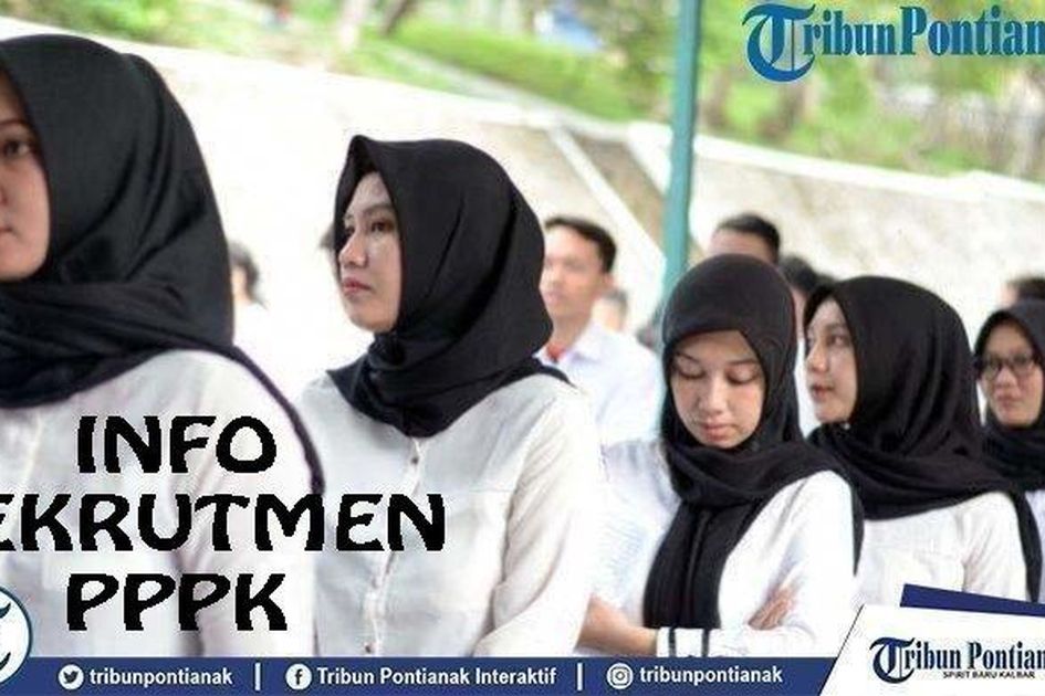 Daftar Lengkap 11 Formasi CPNS dan PPPK 2023 untuk Lulusan S1