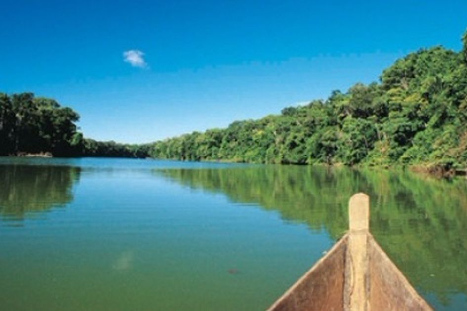 Disebut Mirip Hutan Amazon Ternyata Tempat Wisata Ini Ada Di Tempat Kelahiran Sby