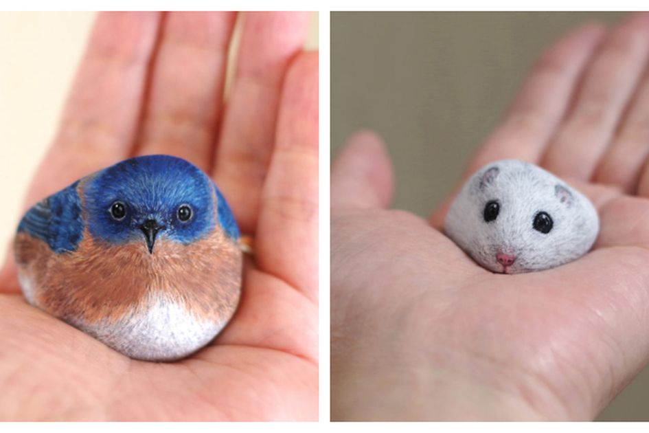 5600 Koleksi Gambar Burung Imut HD Terbaik