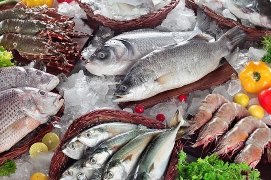 Biar Gizinya Tetap Didapat Begini 6 Cara Memilih Ikan Segar Dan Layak Konsumsi Biar Gizinya Tetap Didapat Begini 6 Cara Memilih Ikan Segar Dan Layak Konsumsi