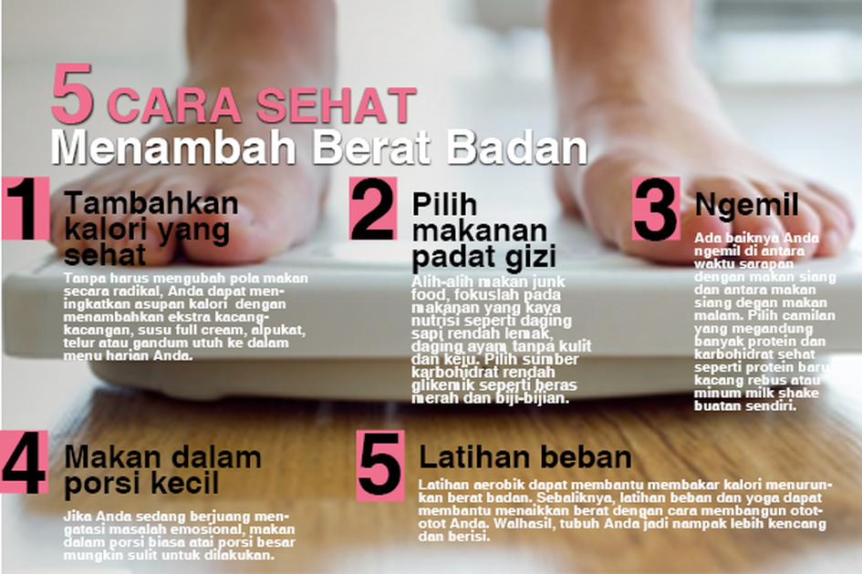 Penambah Berat Badan – newstempo