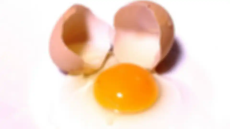Telur