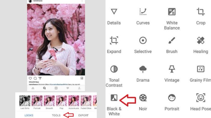 Cara Mudah Edit Foto Hitam Putih Pakai Snapseed Lebih