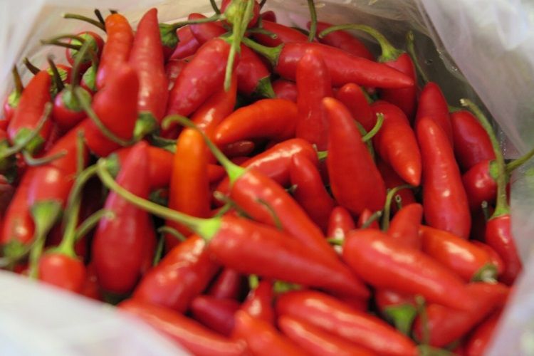 Ada Orang yang Tahan Makan Pedas, Ada Juga yang Tidak Tahan, Benarkah