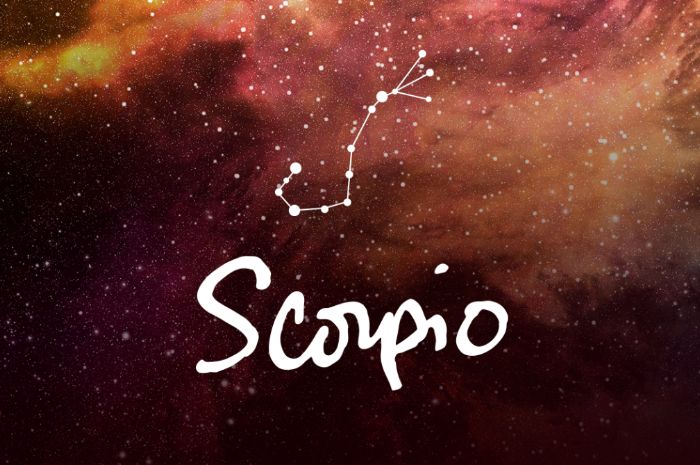 Hasil gambar untuk scorpio