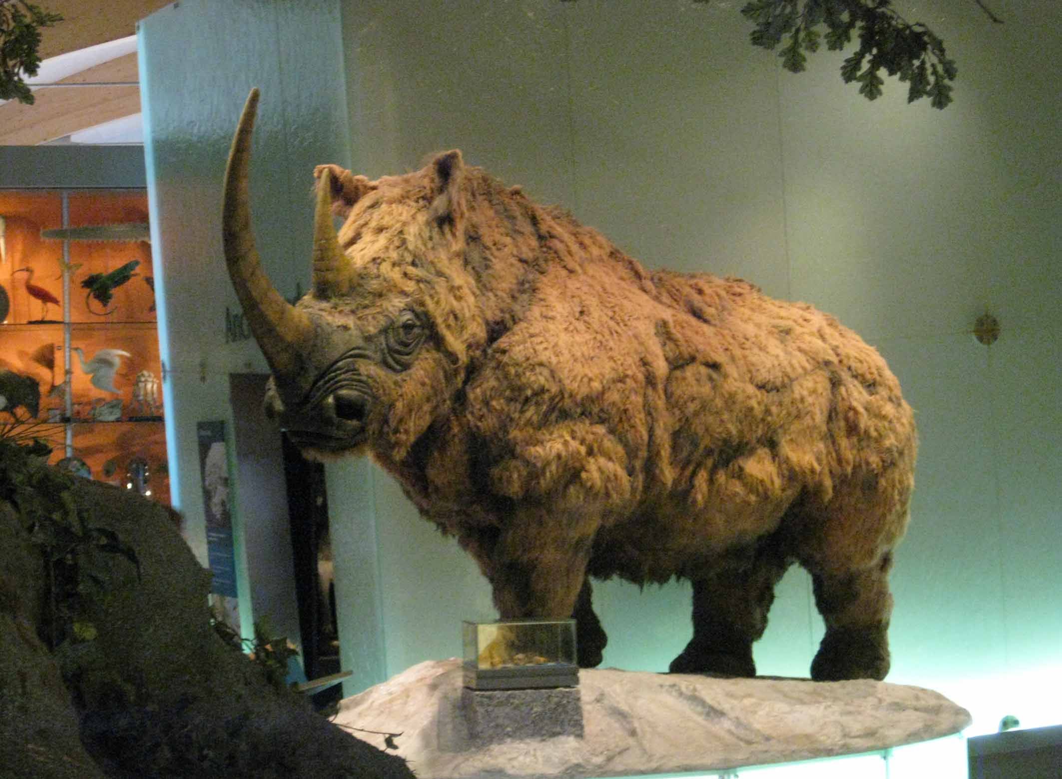 Inilah Enam Hewan Raksasa Yang Pernah Menguasai Bumi Ada Apa Saja