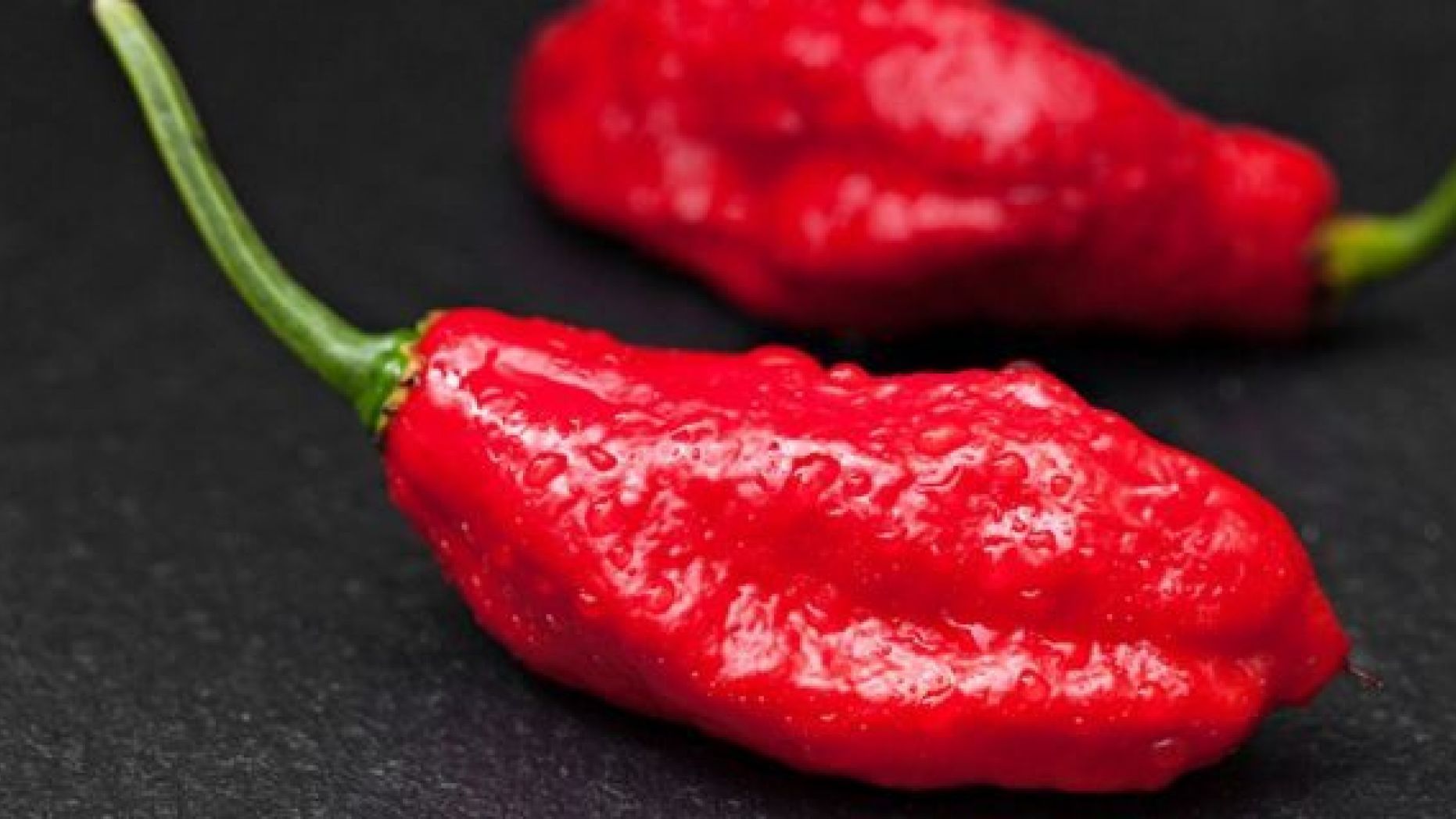 перец острый визирь. перец чили острый турецкий. перец пятка. Bhut jolokia перец. перец острый bhut jolokia.