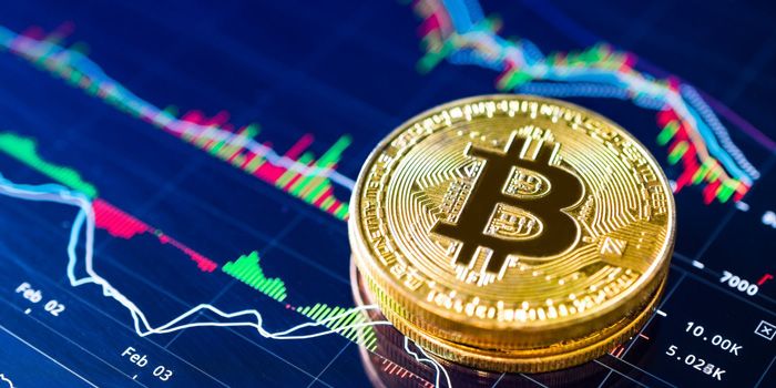 Elon musk beli bitcoin