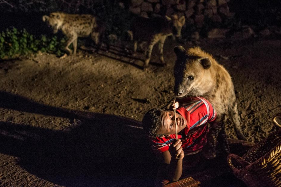 Mengikuti Tradisi Keluarga Ini Hidup Dengan Hyena Puluhan Tahun
