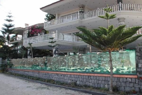 65 Desain Aquarium Bertingkat Gratis Terbaru