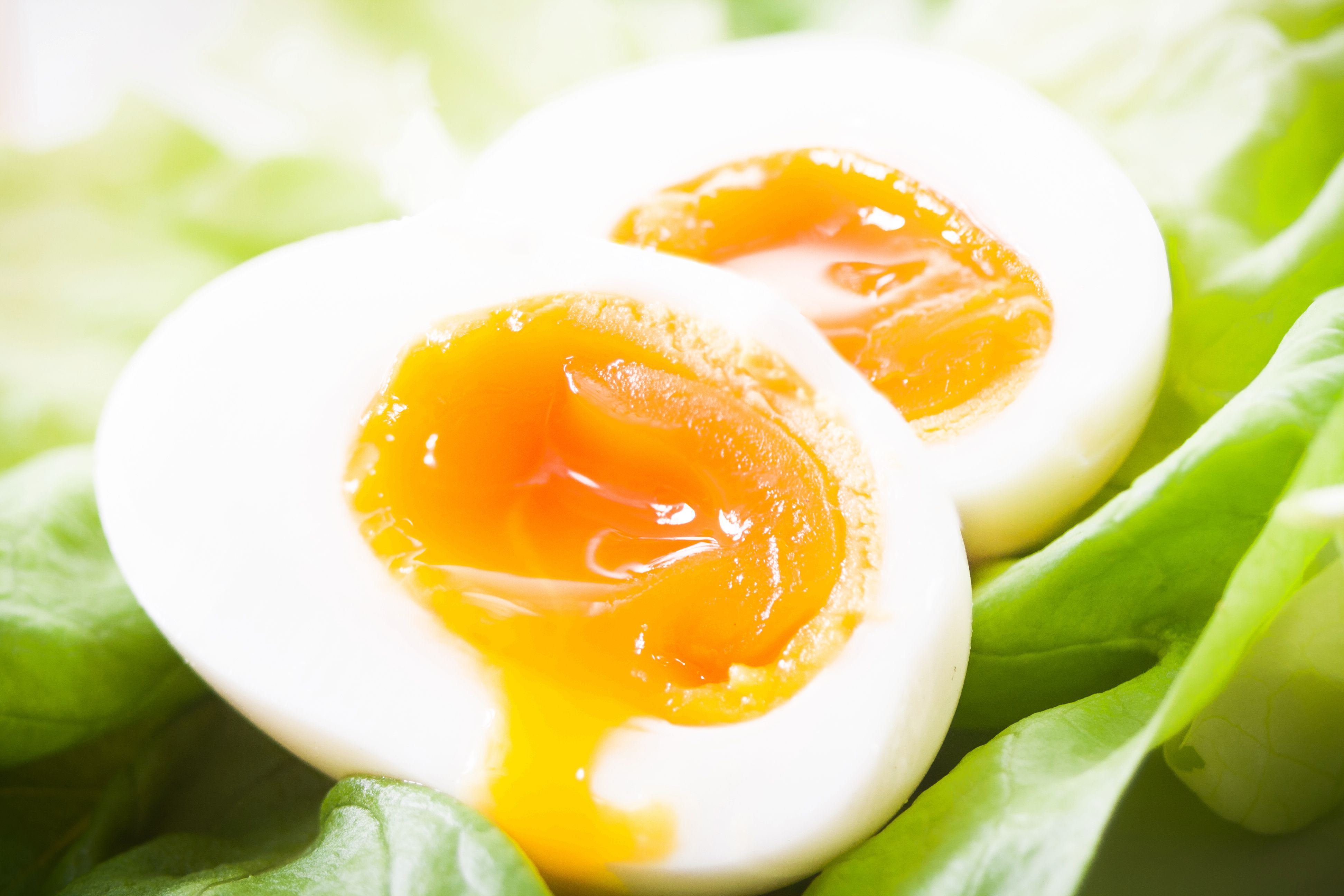 Lakukan Diet Telur Selama Seminggu Bisa Turunkan Berat Badan Hingga 5,5 Kg.  Begini Caranya! - Semua Halaman - CewekBanget