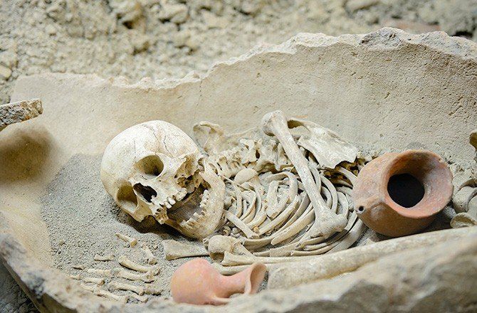 Ketahui 5 Macam Tulang Manusia Berdasarkan Bentuknya Apa Saja Ya Semua Halaman Fotokita Ketahui 5 Macam Tulang Manusia Berdasarkan Bentuknya Apa Saja Ya Semua Halaman Fotokita