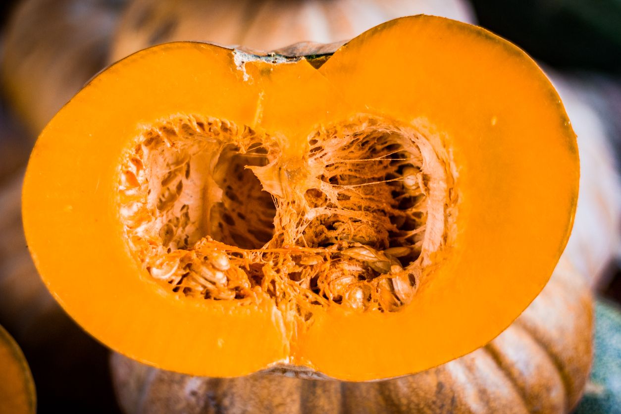 Enggak Nyangka Rutin Makan Labu Kuning Kukus Siap Siap Kaget Saat Tubuh Rasakan Efek Tak Terduga Ini Semua Halaman Sajian Sedap Enggak Nyangka Rutin Makan Labu Kuning Kukus Siap Siap Kaget Saat Tubuh Rasakan Efek Tak Terduga Ini Semua Halaman Sajian Sedap