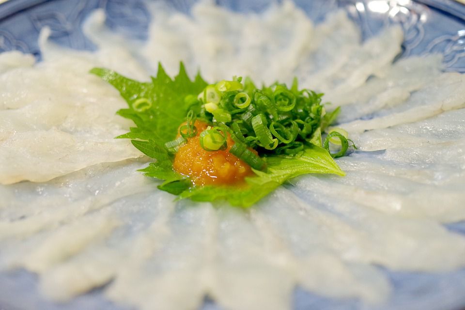 Dua Bahan Beracun Ini Justru Dijadikan Makanan di Jepang, Apa Saja, ya?
