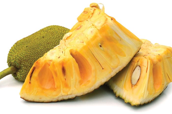 Pantang Untuk Dimakan Nangka Jadi Pantangan Untuk Orang Orang Dengan Kondisi Ini Termasuk Penderita Alergi Semua Halaman Hype